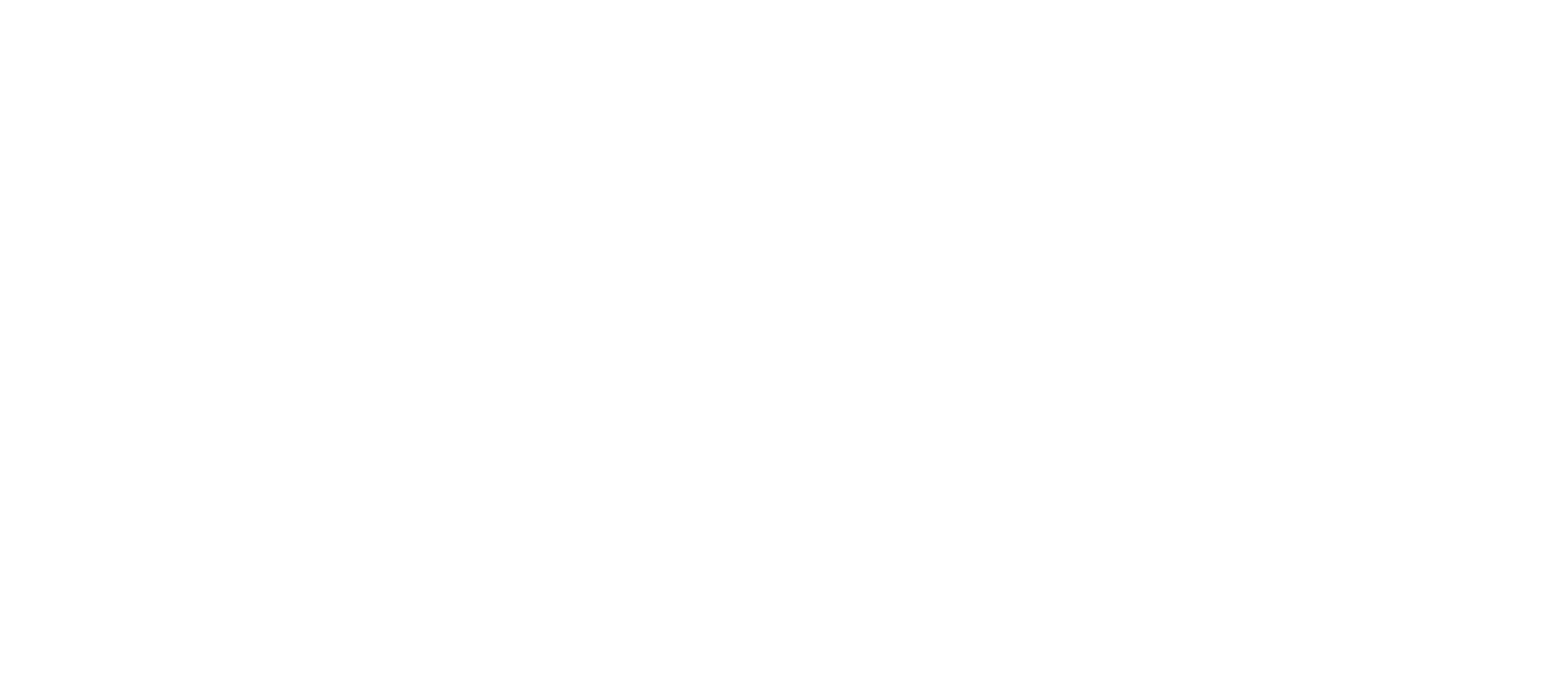 AInauten Academy